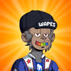 Wapes on Wape #3248