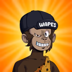 Wapes on Wape #3090