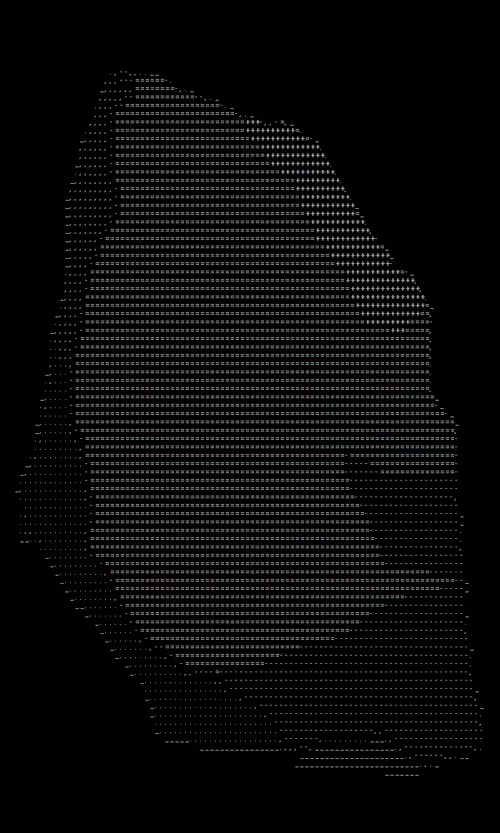 Item #33 Media