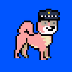 Kennel Doge Punks #267