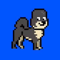 Kennel Doge Punks #291