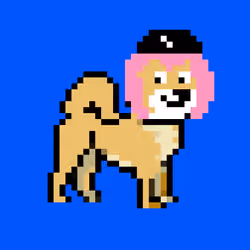 Kennel Doge Punks #295