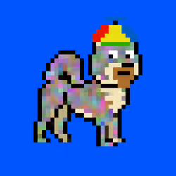 Kennel Doge Punks #183
