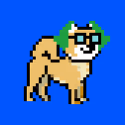 Kennel Doge Punks #154