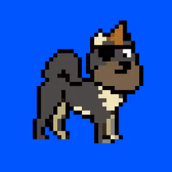 Kennel Doge Punks #156
