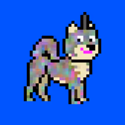 Kennel Doge Punks #296