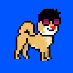 Kennel Doge Punks #294