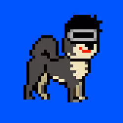 Kennel Doge Punks #287