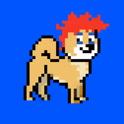 Kennel Doge Punks #288