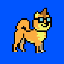 Kennel Doge Punks #286