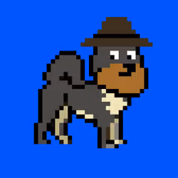 Kennel Doge Punks #194