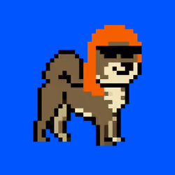 Kennel Doge Punks #343