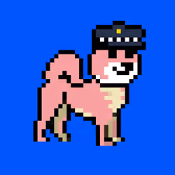 Kennel Doge Punks #346