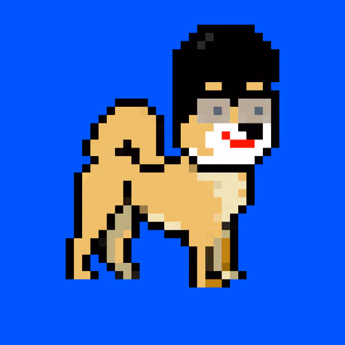 Kennel Doge Punks #53