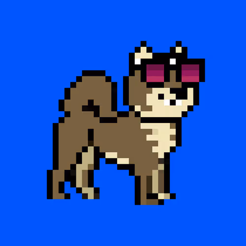 Kennel Doge Punks