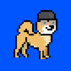Kennel Doge Punks #289