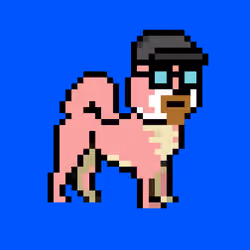 Kennel Doge Punks #347