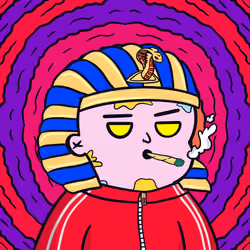 dodogods1849