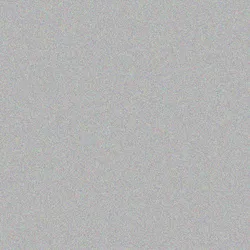 81