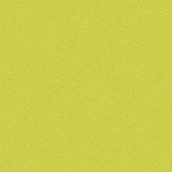 966