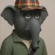 205