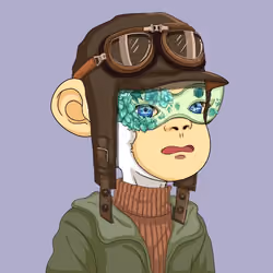 Nuked Ape #797