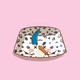 479