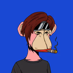Apewives on Ape #247
