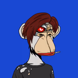 Apewives on Ape #8760