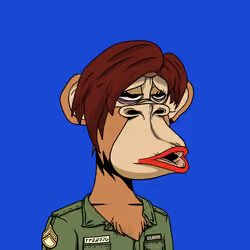 Apewives on Ape #2906