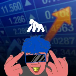241