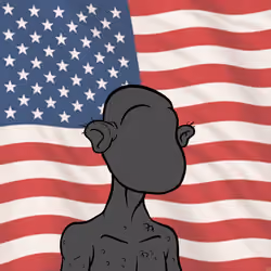 Flag of America