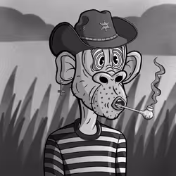 47