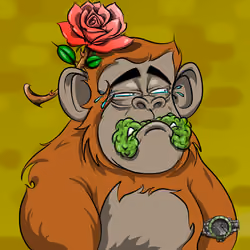 Minties The Lost Gorillas #2673