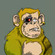 2029