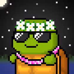 TURTLEZ #842