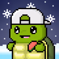 TURTLEZ #705
