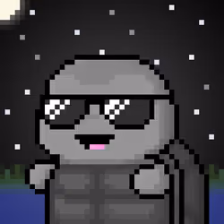 TURTLEZ #1911