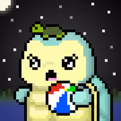 TURTLEZ #1543