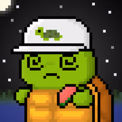 TURTLEZ #1828
