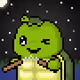 TURTLEZ #1254