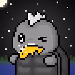 TURTLEZ #530