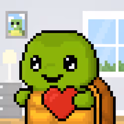 TURTLEZ #62
