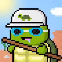 TURTLEZ #579