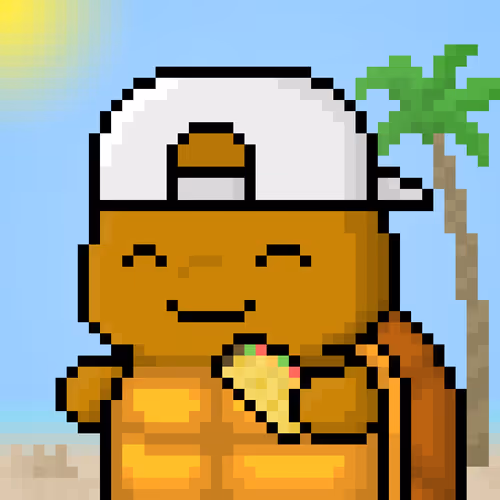 TURTLEZ #474
