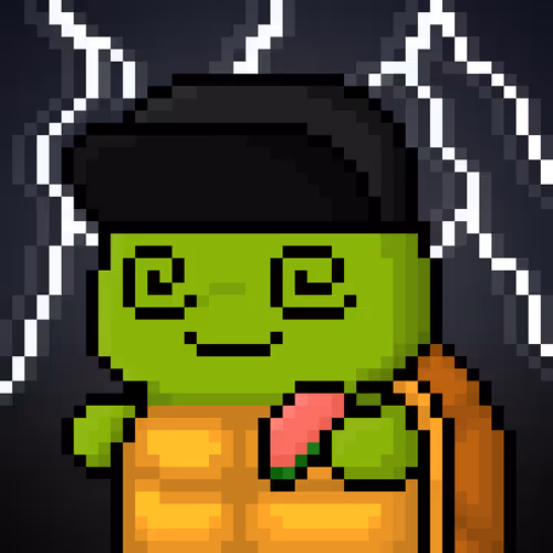 TURTLEZ #1402