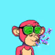 Rookie Apes