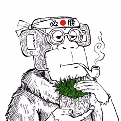 ape by accident #727