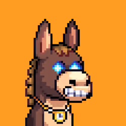 Rare Donkz #1398