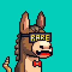 Rare Donkz #1768